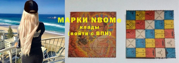 индика Покров