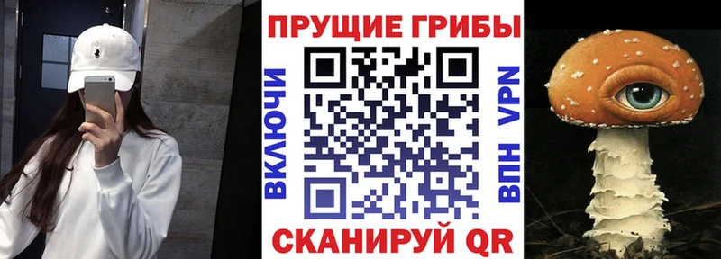 Псилоцибиновые грибы Cubensis  Малмыж 